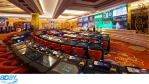 Tham gia cược vui tại Casino 8day